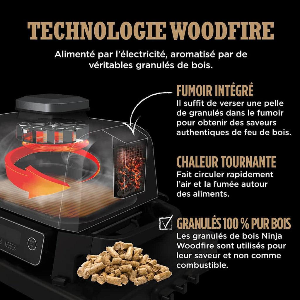 Barbecue électrique et fumoir Ninja Woodfire avec fumage naturel OG701EU