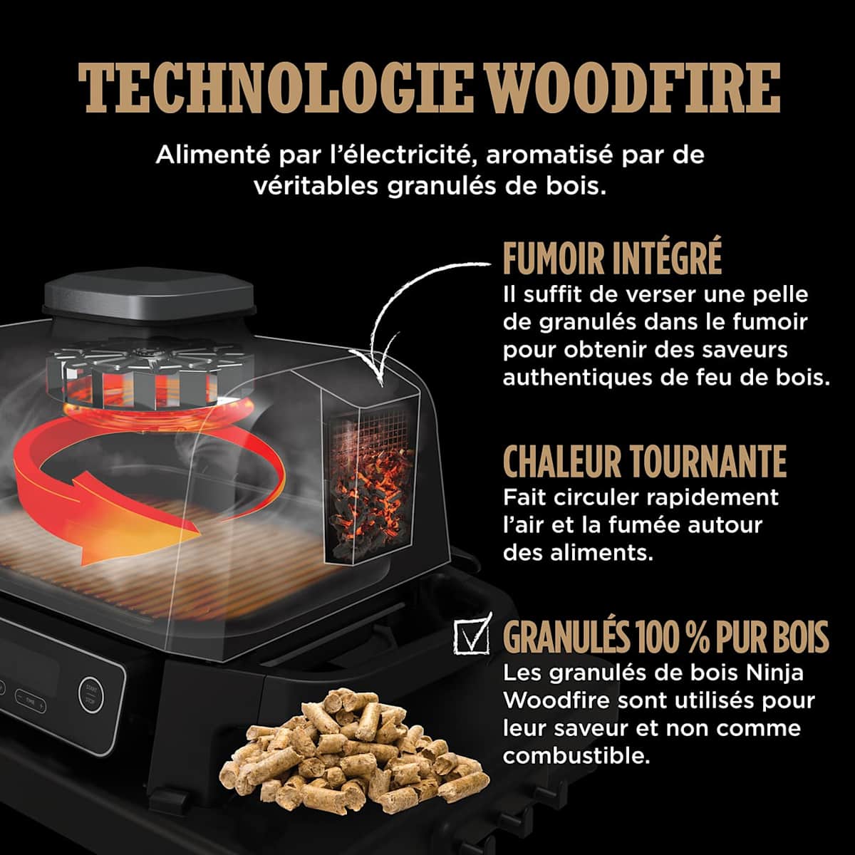 Barbecue électrique et fumoir Ninja Woodfire avec fumage naturel OG701EU