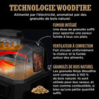 Barbecue électrique et fumoir Ninja Woodfire Pro XL avec thermosonde Smart Cook OG850EU