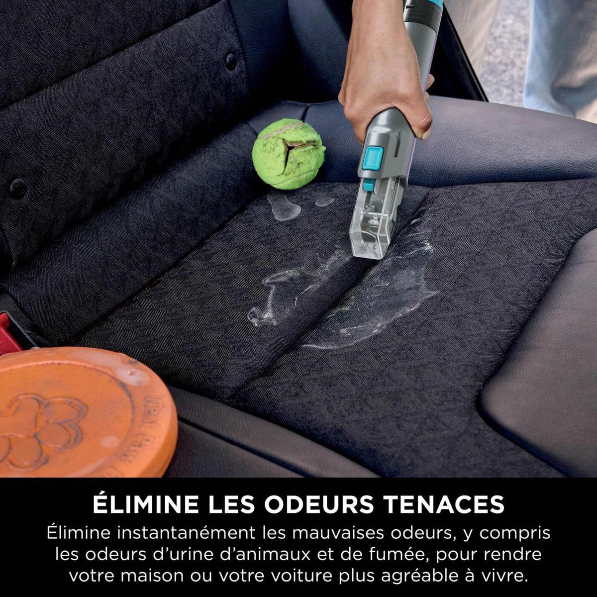 Shark StainStriker HairPro Pet - Shampouineuse Nettoyeur Détacheur Tapis, Canapé & Animaux