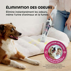 Lot de deux recharges de solution nettoyante pour détacheur StainForce