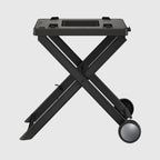 Barbecue électrique et fumoir Ninja Woodfire avec fumage naturel OG701EU
