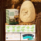 Sumoravibe - Kit di Scavo delle Uova di Dinosauro per Bambini