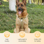 Sumoravibe - Pettorina per cani No Pull con guinzaglio e collare LED